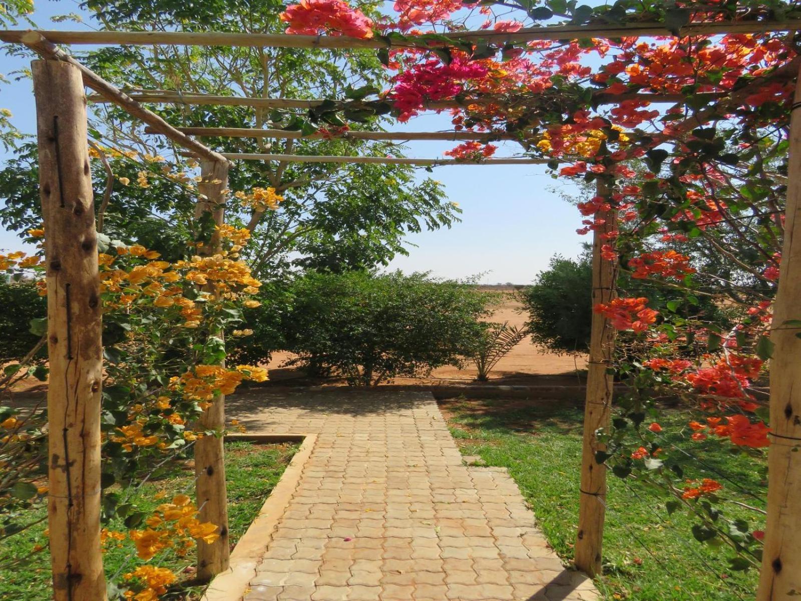 Tropic Of Capricorn Guest Farm Hotel Rehoboth Kültér fotó