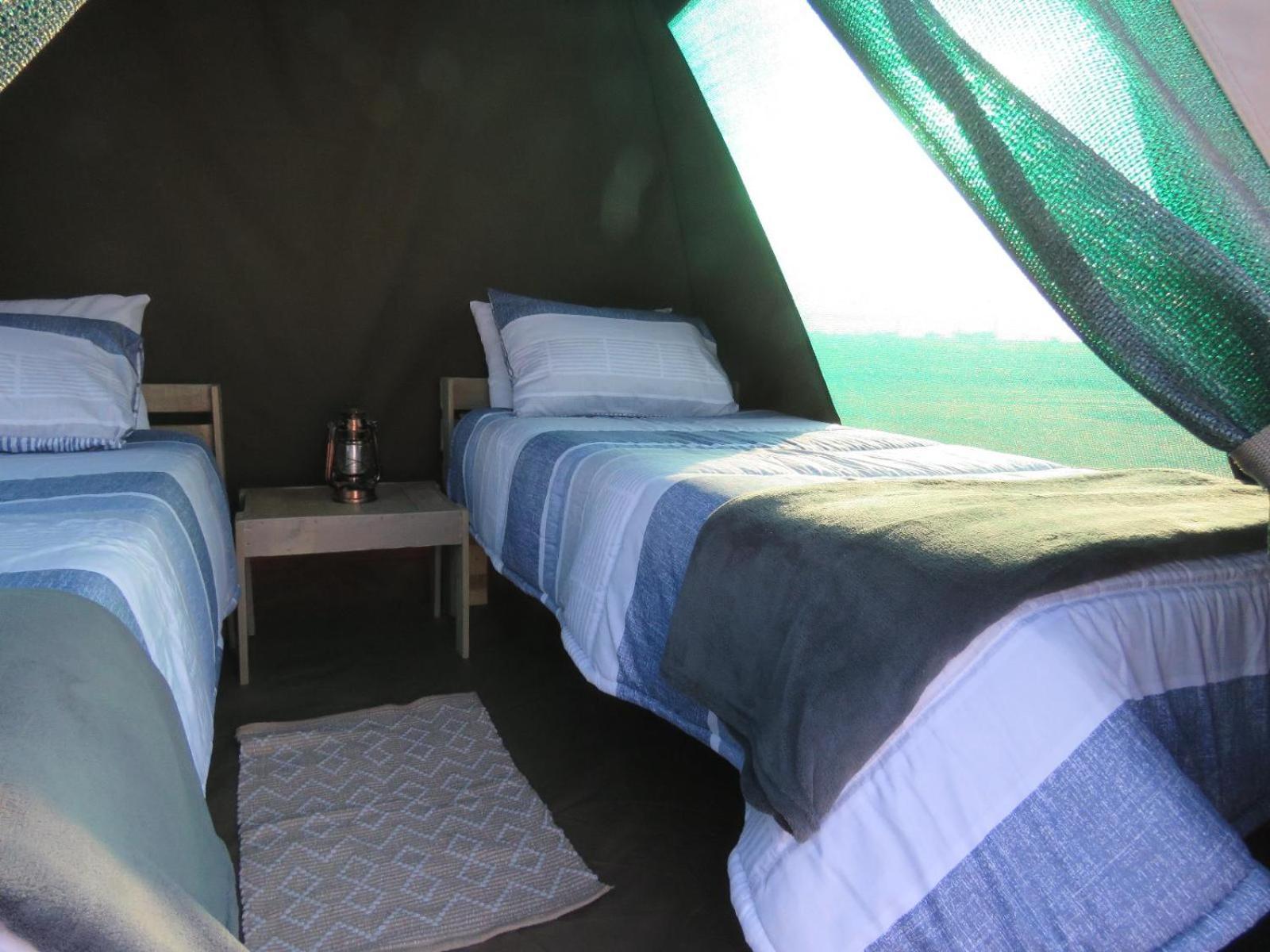 Tropic Of Capricorn Guest Farm Hotel Rehoboth Szoba fotó
